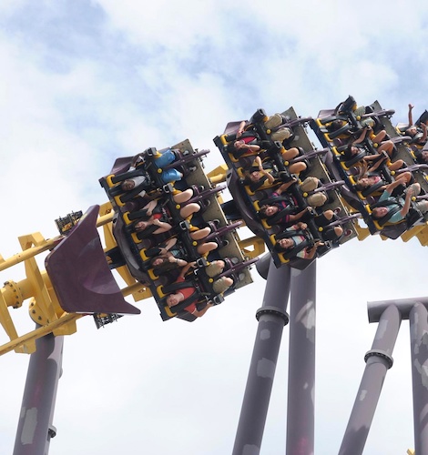 Photo: Six Flags
